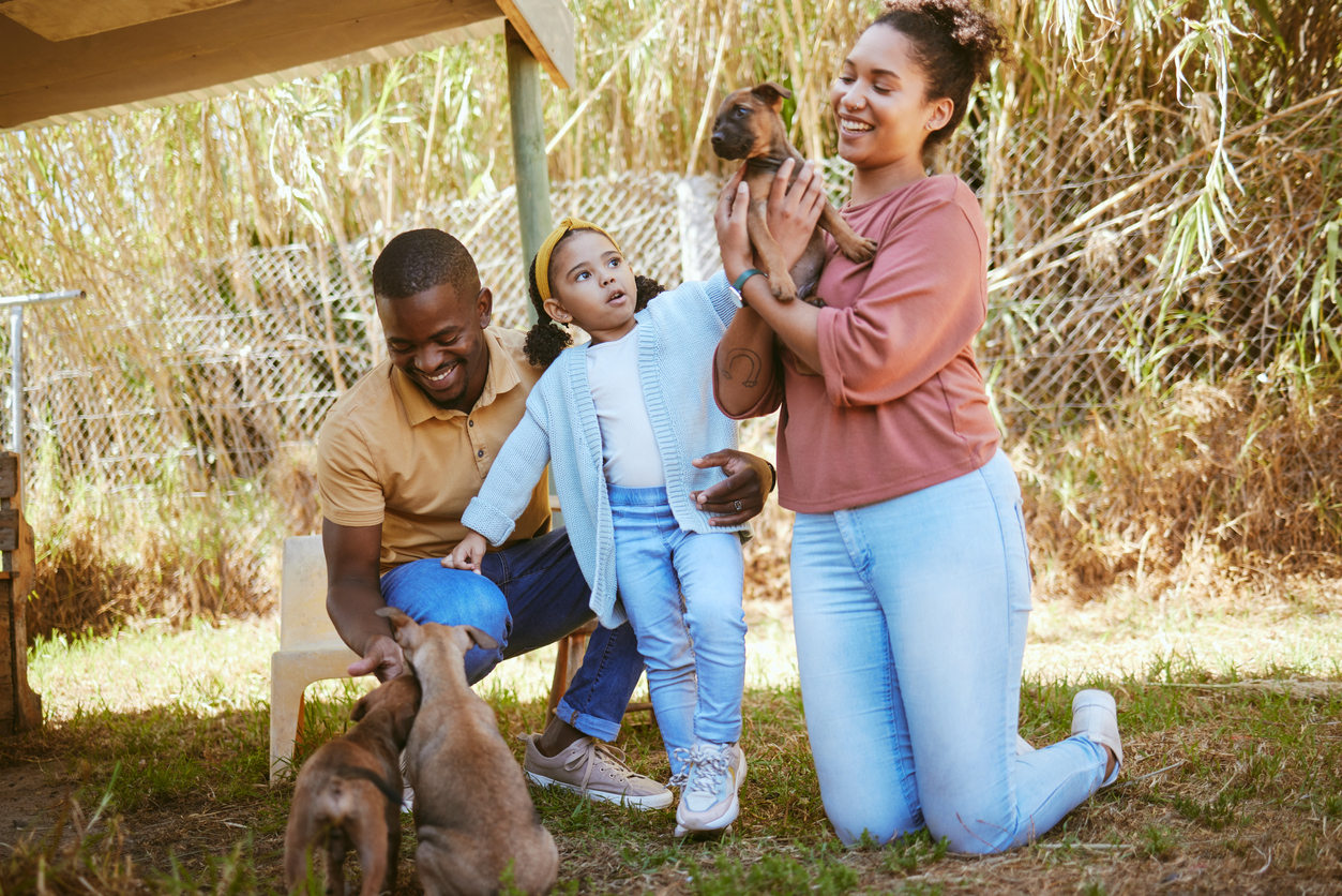 Family, dog adoption and pet outdoor with a happy mother, girl and dad with a puppy. Happiness, love and animal care of a mom, child and man hug and hold dogs together with a smile in a park